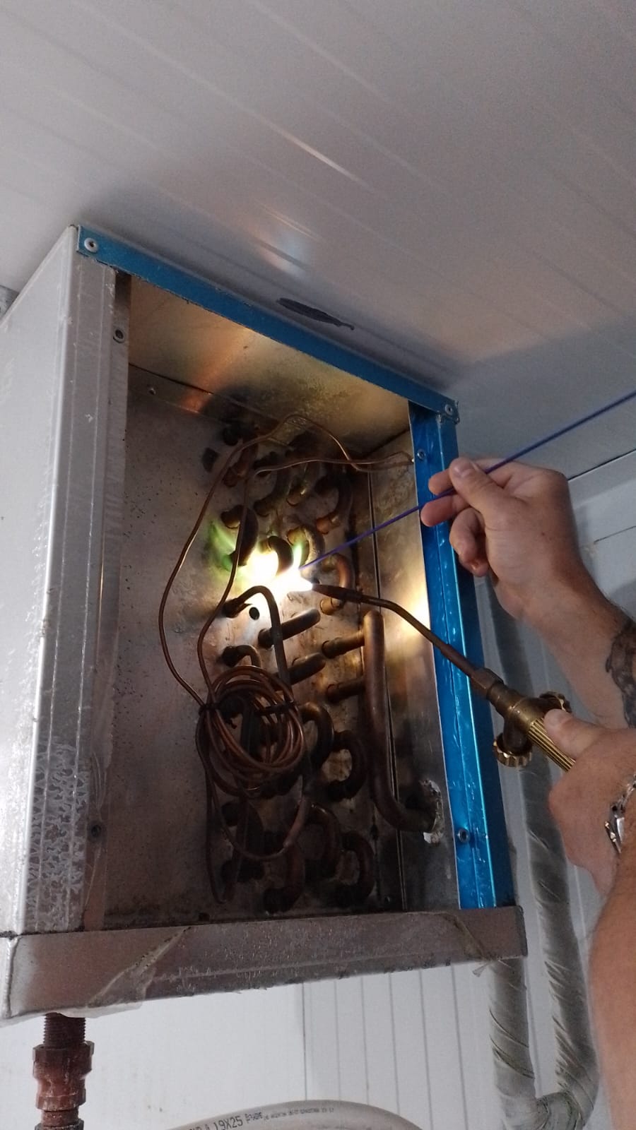Cámara frigorífica en La Plata - 23