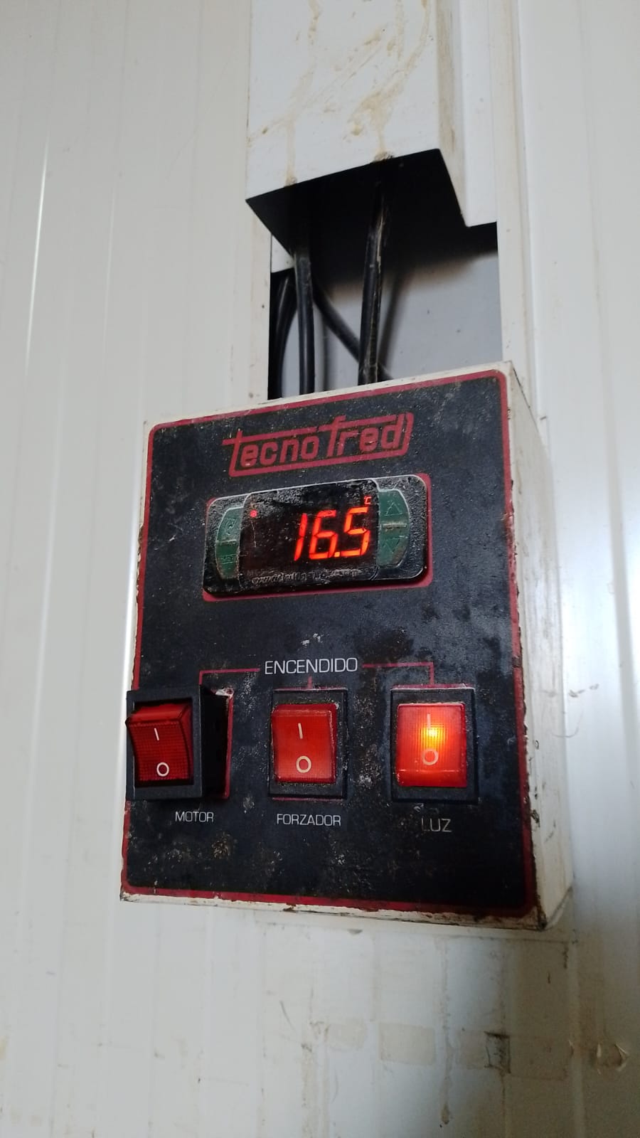 Cámara frigorífica en La Plata - 24